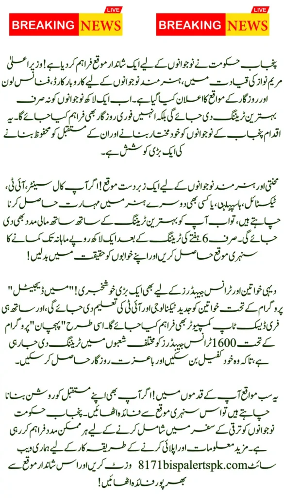 Punjab Government Announces Karobar Cards, Finance Loans, and Job Placements for Youth