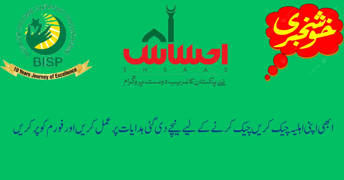 8171 Ehsaas Program 25000 BISP  Complete Guide 2025