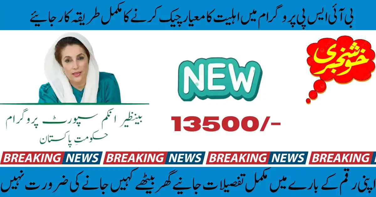 BISP 8171 Payment Result Check for New Payment By CNIC Online