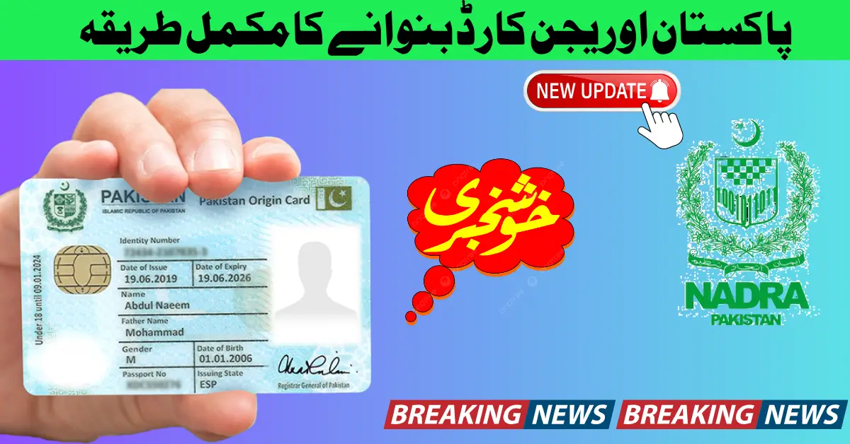 How to Apply for a Pakistan Origin Card Complete Guide 2025