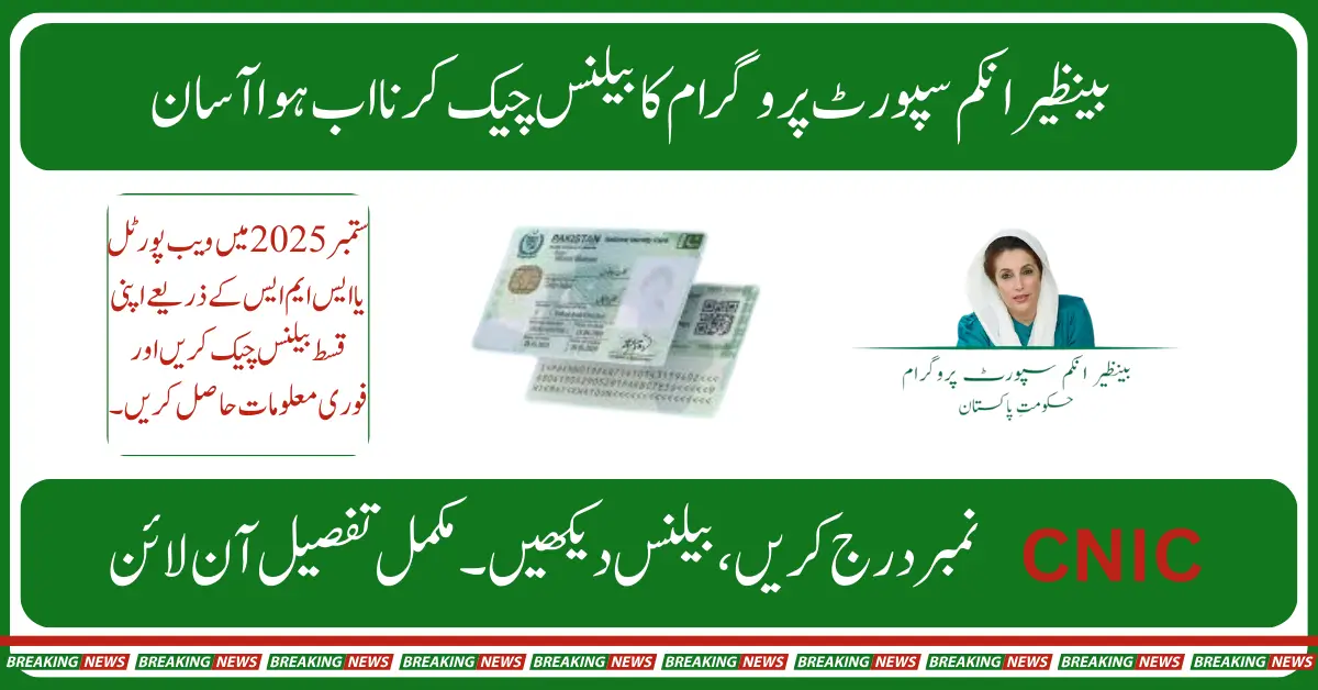 BISP 8171 How to Check Ehsaas Program payment with Your CNIC and Name