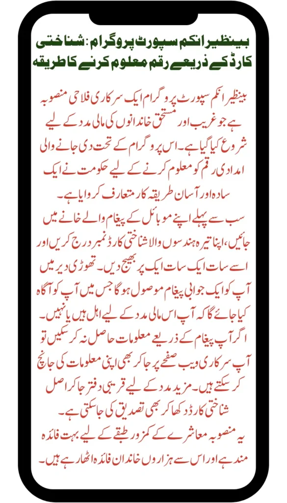 BISP 8171 How to Check Ehsaas Program payment with Your CNIC and Name