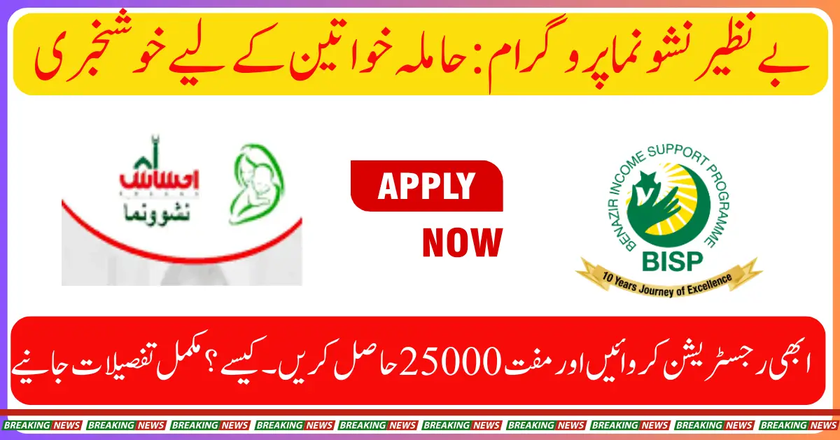 How to Apply for Benazir Nashonuma Program Eligibility & Payment via 8171