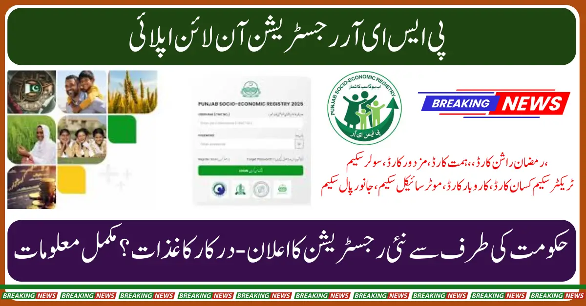 How to Register in the 2025 PSER Survey for Government Welfare Assistance