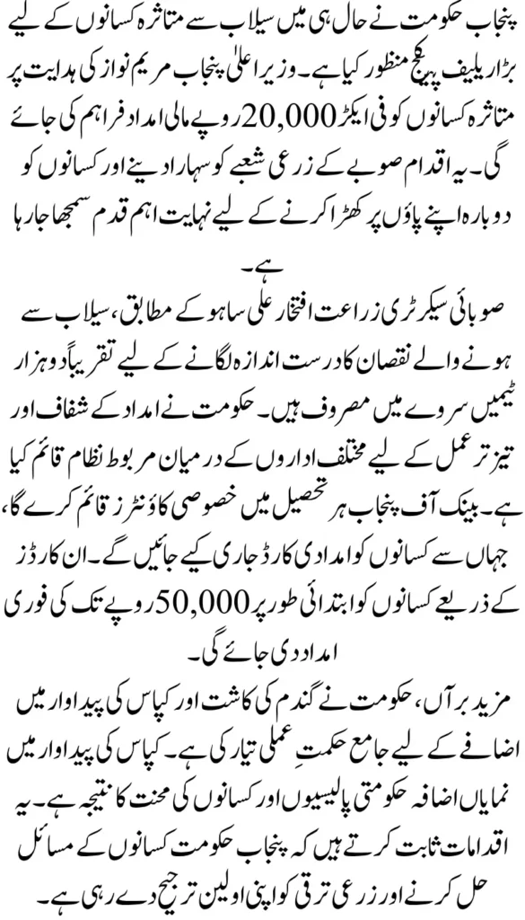 From Ruin to Relief Punjab Government’s Rs 20,000 Per Acre Aid for Affected Farmers