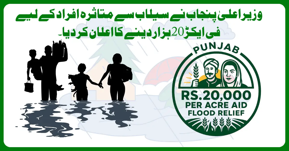 From Ruin to Relief Punjab Government’s Rs 20,000 Per Acre Aid for Affected Farmers